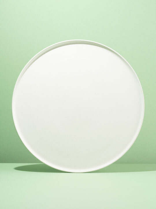 Snow Plate L
